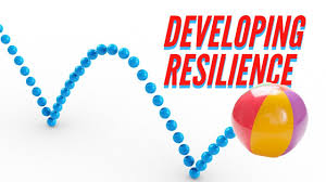 An Overview of Resilience